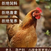 2只正宗3年老母鸡土鸡草鸡柴鸡孕妇月子鸡走地鸡粮食散养安徽特产